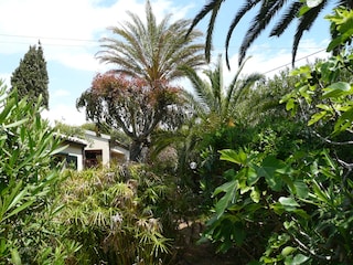 Holiday home bungalow La Perla di Sicilia at the beach