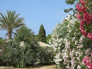 Holiday home bungalow La Perla di Sicilia at the beach