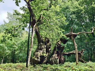 Casa de vacaciones Kulhuse  21