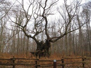 Casa per le vacanze Kulhuse  34