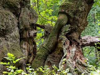 Ferienhaus Kulhuse  24