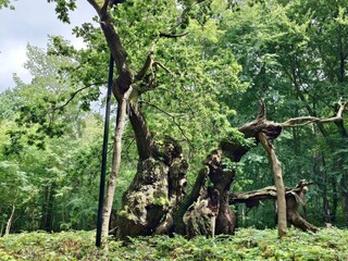 Casa per le vacanze Kulhuse  26