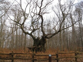 Casa de vacaciones Kulhuse  14