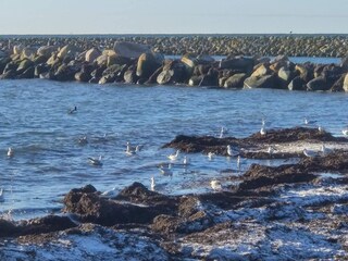 Vakantiehuis Nakskov  39