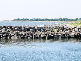 Casa per le vacanze Nakskov  17