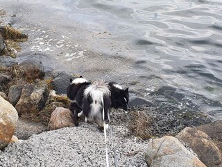 Casa per le vacanze Nakskov  24
