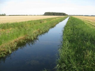 Casa per le vacanze Nakskov  36