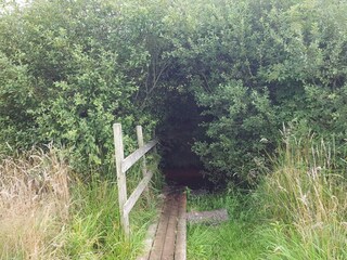 Casa per le vacanze Oksbøl  5