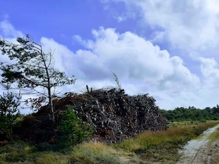 Maison de vacances Oksbøl  33