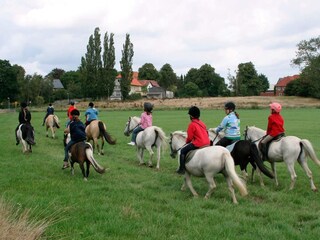 Ferienhaus Grömitz  27