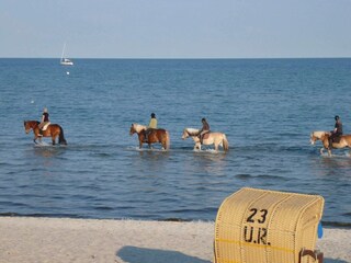 Maison de vacances Grömitz  29