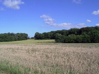 Holiday house Gudhjem  21