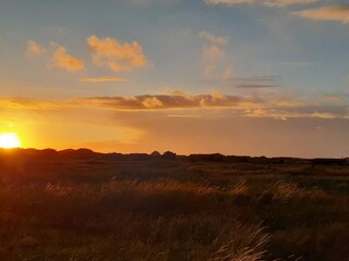 Ferienhaus Aalbæk  21
