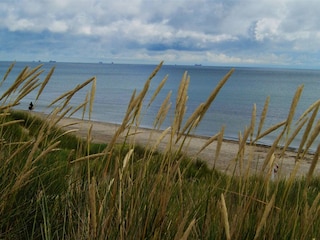 Ferienhaus Aalbæk  24