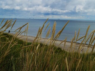 Maison de vacances Aalbæk  24