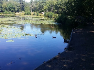 Ferienhaus Aalbæk  20