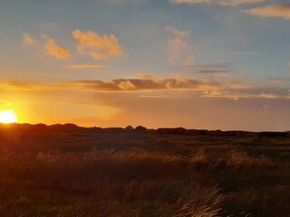 Casa per le vacanze Aalbæk  24