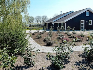 Ferienhaus Købingsmark Außenaufnahme 6