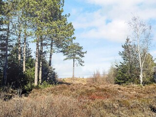 Holiday house Havneby  20