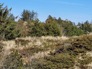 Vakantiehuis Slettestrand  37