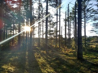Ferienhaus Slettestrand  21