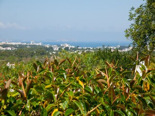 Villa Sant Antoni de Portmany Außenaufnahme 13