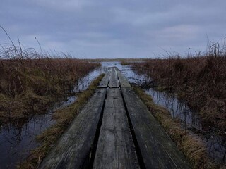 Vakantiehuis Hou  16