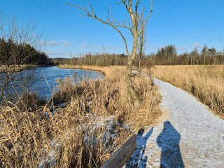 Vakantiehuis Truust  24