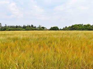 Maison de vacances Fjand  10
