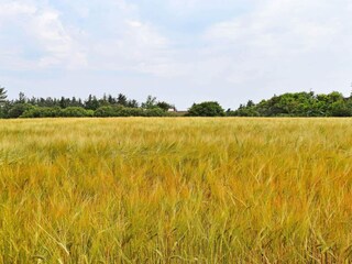 Ferienhaus Fjand  35