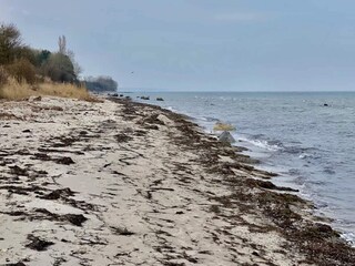 Casa per le vacanze Vaeggerløse  26
