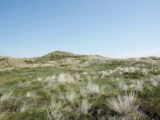 Vakantiehuis Rødhus  21