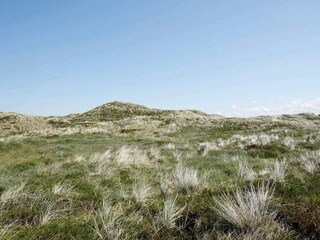 Holiday house Rødhus  16