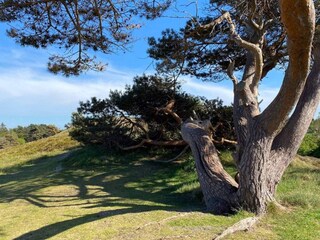 Ferienhaus Vejby Strand  25