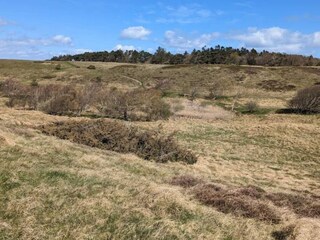 Ferienhaus Vejby Strand  36