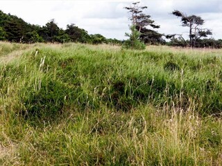 Casa per le vacanze Vejby Strand  25