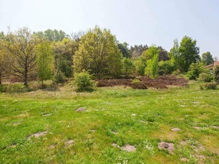 Vakantiehuis Grömitz  21