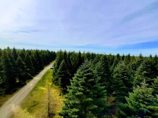 Maison de vacances Hovborg  30