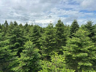 Maison de vacances Hovborg  31