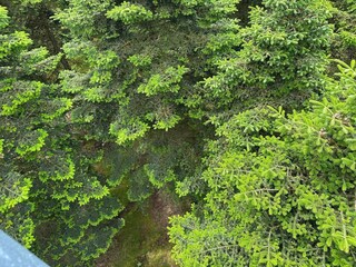 Ferienhaus Hovborg  38