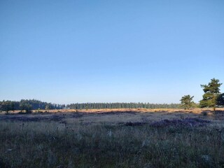 Ferienhaus Hovborg  24