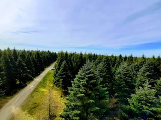 Casa per le vacanze Hovborg  20