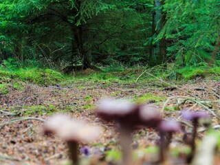 Casa de vacaciones Hovborg  26