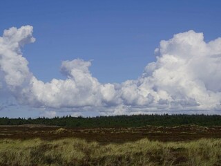 Maison de vacances Henne Strand  34