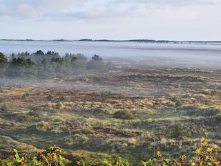 Casa per le vacanze Henne Strand  15
