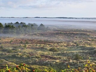 Vakantiehuis Henne Strand  16