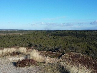 Vakantiehuis Henne Strand  19