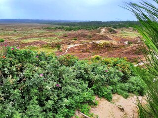 Casa per le vacanze Henne Strand  18
