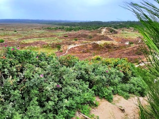 Ferienhaus Henne Strand  18