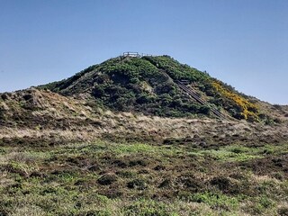 Ferienhaus Henne Strand  26